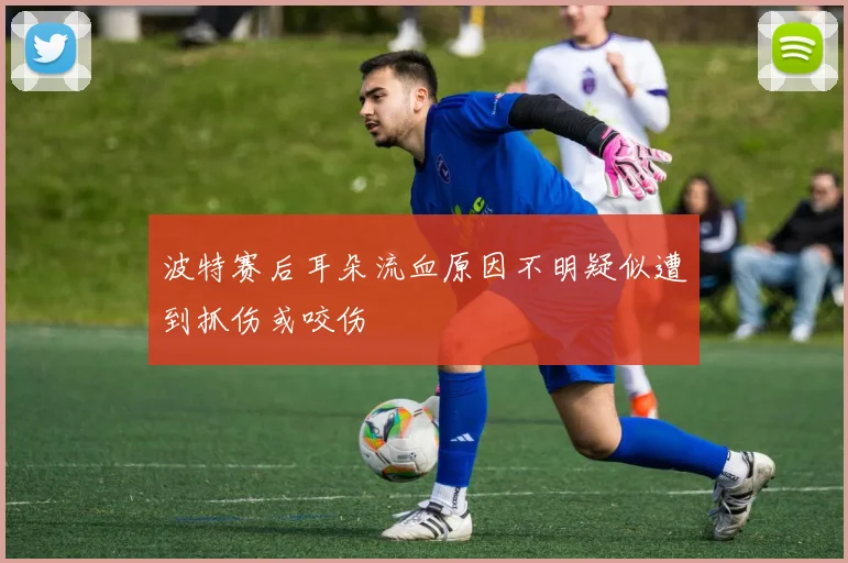 波特赛后耳朵流血原因不明疑似遭到抓伤或咬伤
