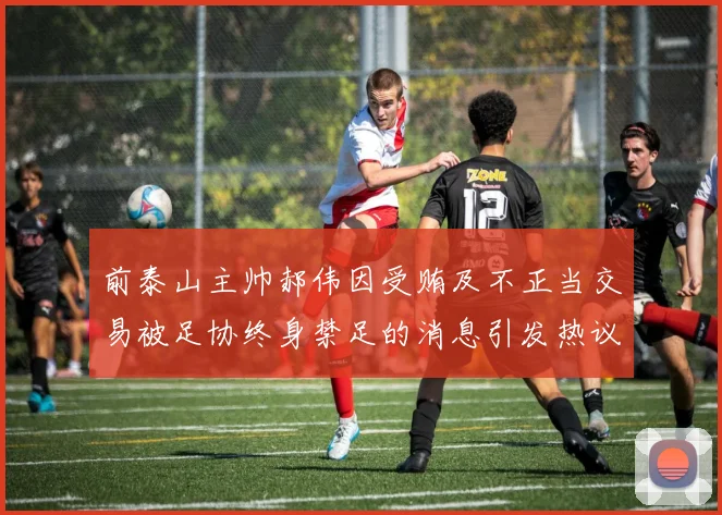 前泰山主帅郝伟因受贿及不正当交易被足协终身禁足的消息引发热议