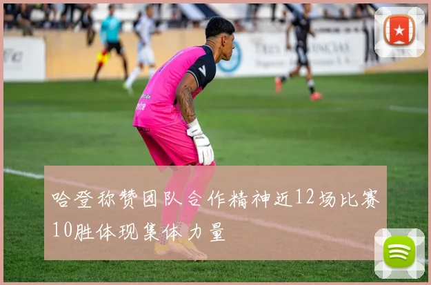 哈登称赞团队合作精神近12场比赛10胜体现集体力量